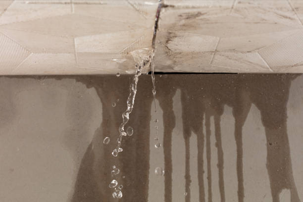 Professional Burst Pipe Cleanup technician working in Clay Springs, AZ